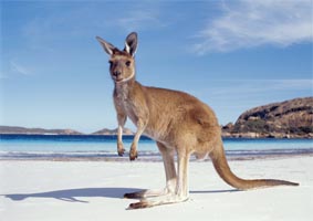 Australia Cargo